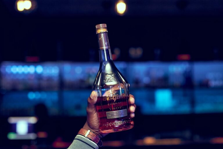 Prenatal immune stress alcohol misuse connection unveiled