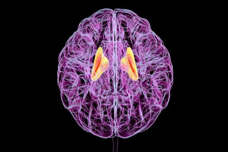 Exercise brain growth protein boosts neural strength