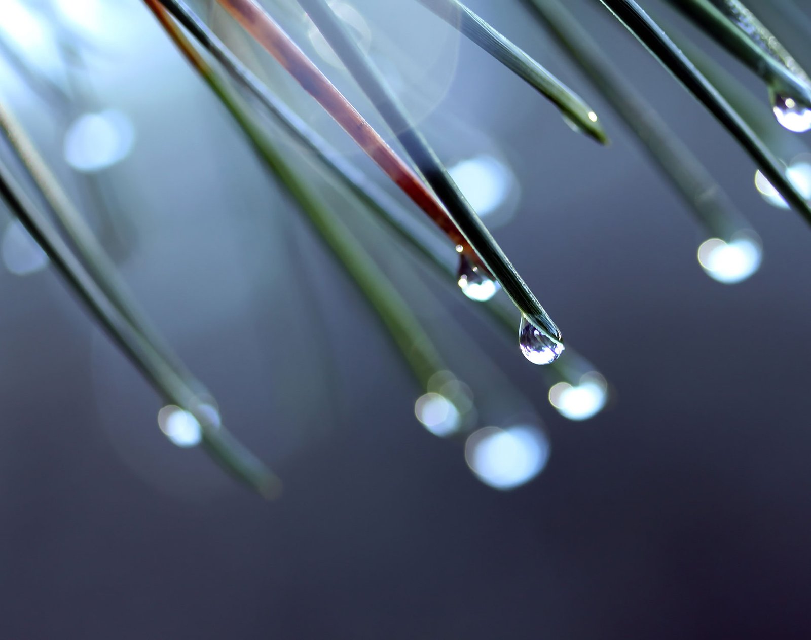 Healthcare growth in the Middle East: thriving opportunities