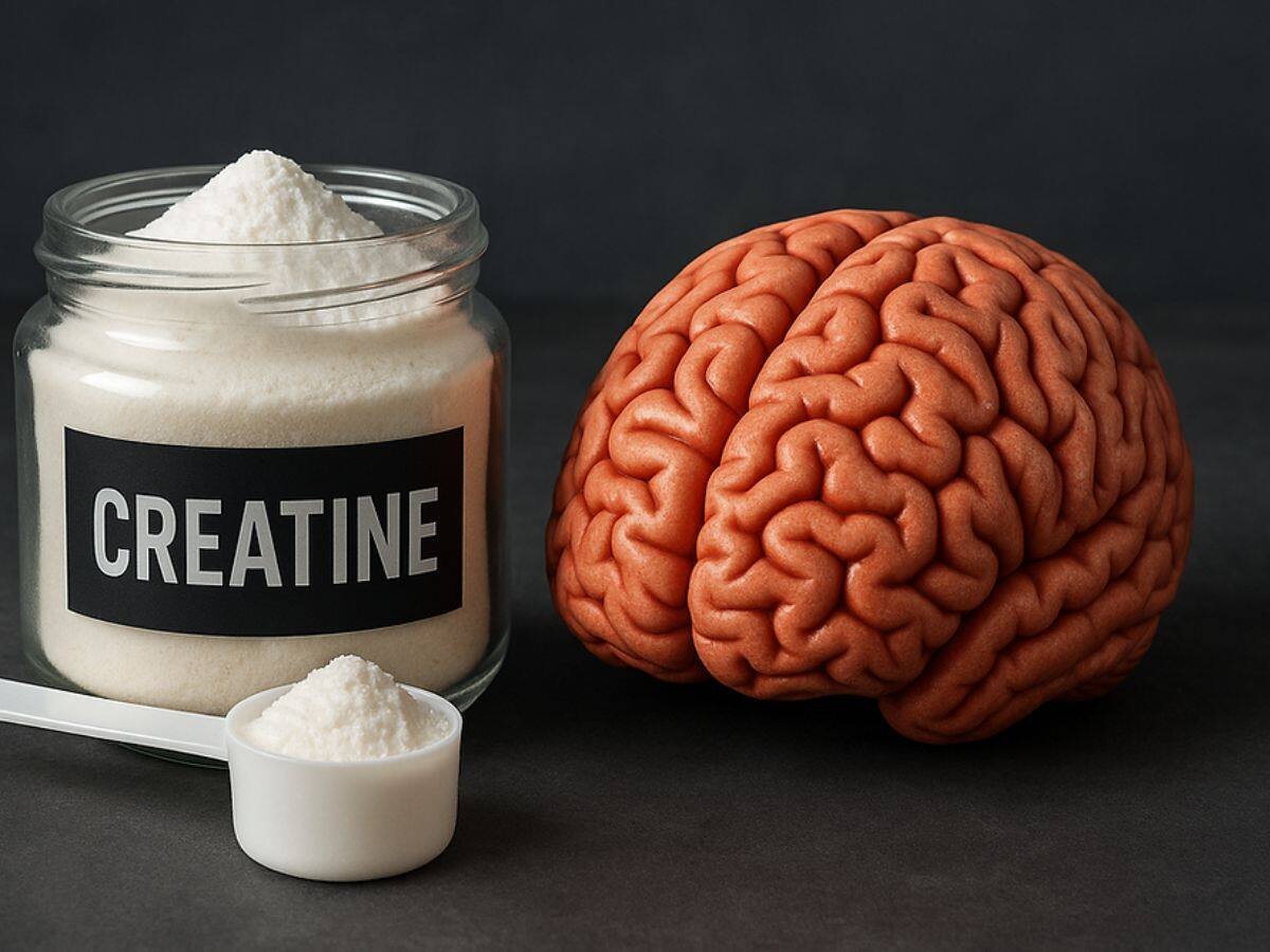 Creatine brain function benefits revealed