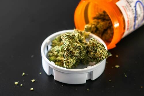 Cannabidiol specialized care models in modern health
