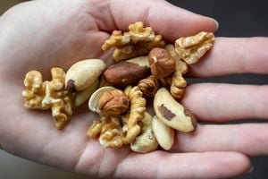 Foods supporting brain health: top 20 choices