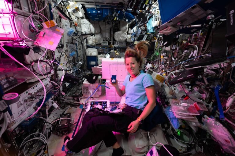 3d bioprinting health research on the space station