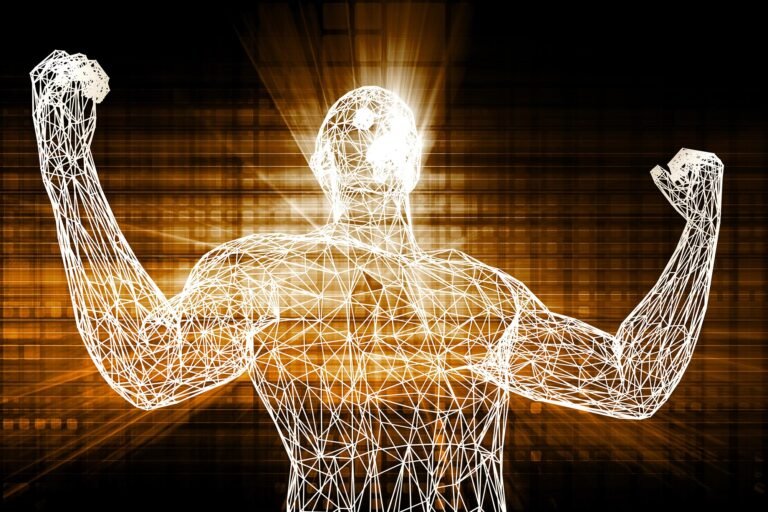 Strength aerobic exercise for longevity tips