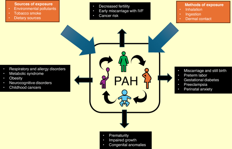 Exploring polycyclic aromatic hydrocarbons impact on newborns
