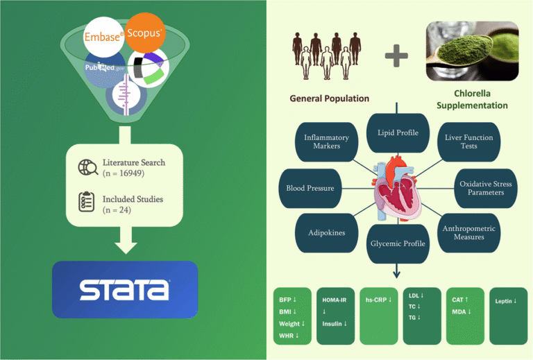 Discover chlorella supplementation benefits today