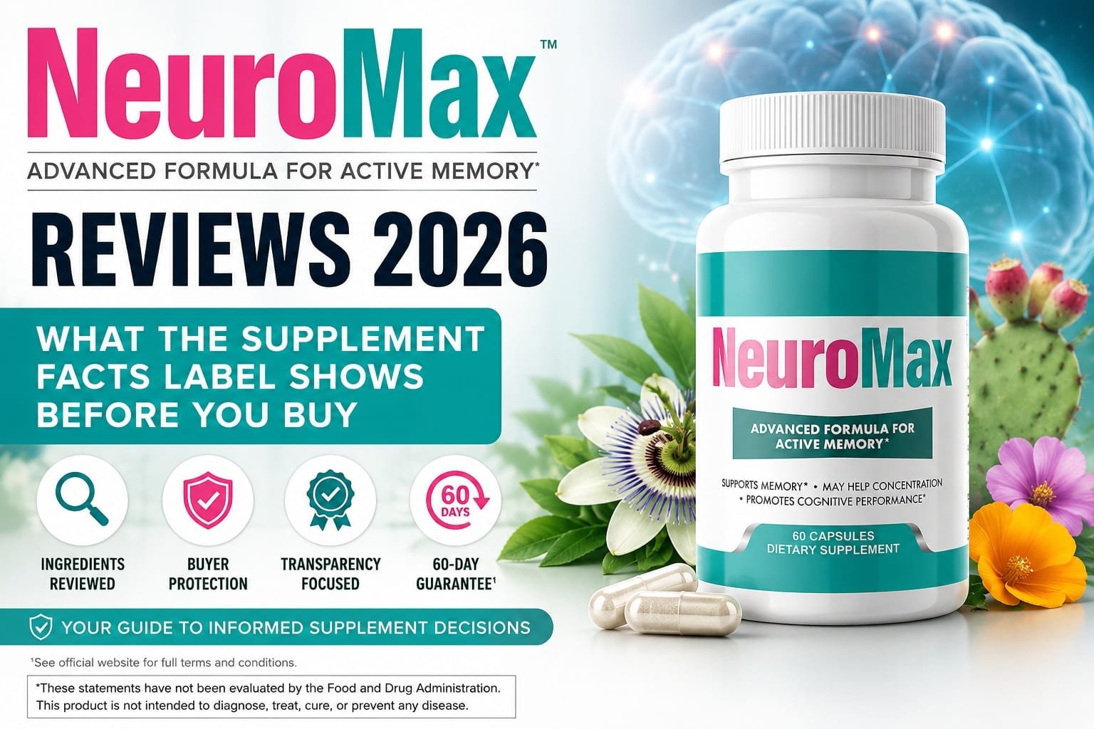 Understanding cognitive support ingredients in neuromax
